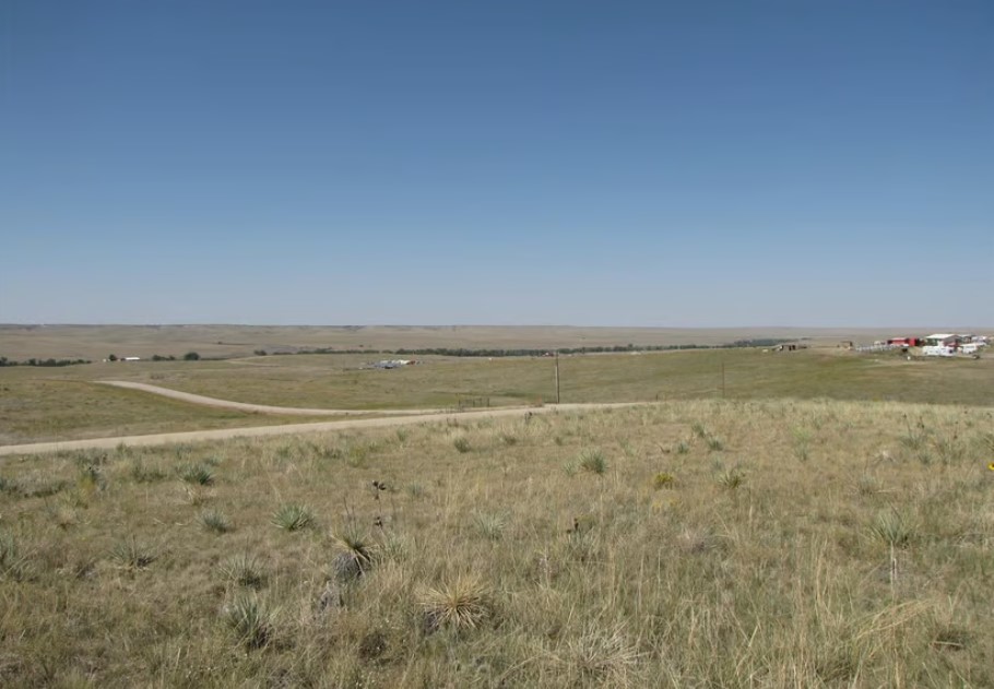 Commercial Property for Sale in Deer Trail Colorado 80105